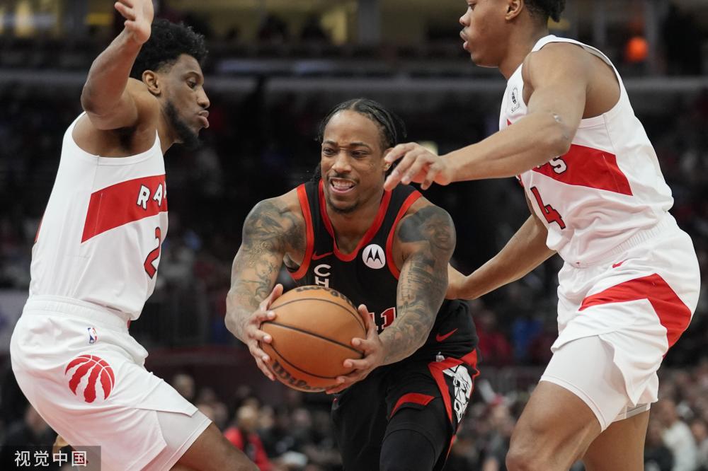 权威地位的 权威地位的