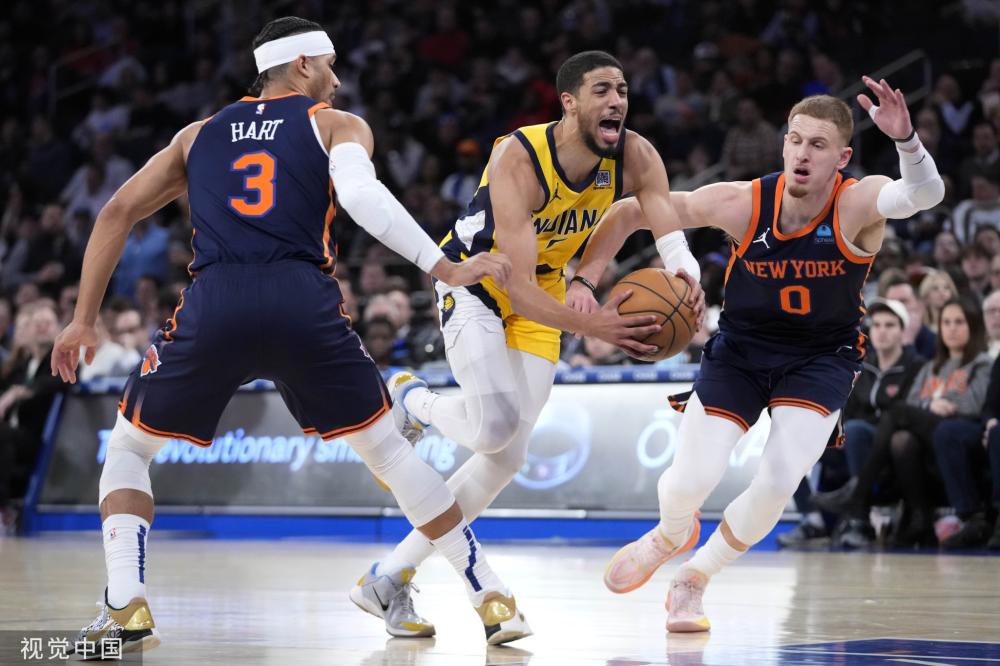 灰熊已显示 灰熊已显示