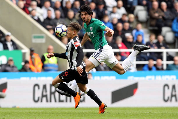 青训系统极 青训系统极